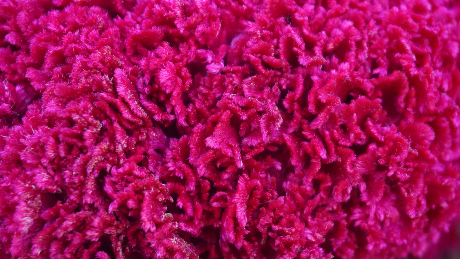 Mother's Day Gift Guide 2021