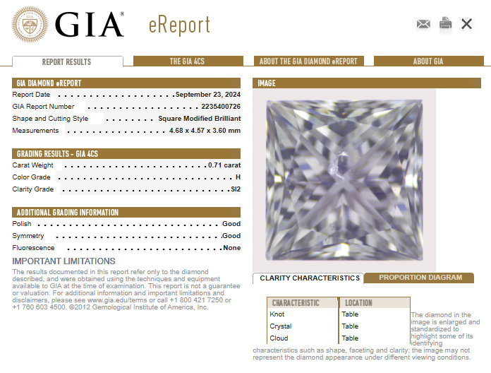 1.41ctw Set of 2 Loose Diamonds Princess Diamond GIA eReport