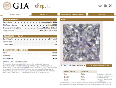 1.41ctw Set of 2 Loose Diamonds Princess Diamond GIA eReport