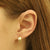 Earrings Yellow Gold