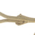 Elizabeth Rand .28ctw Freshwater Pearl and Diamond Earrings Yellow Gold