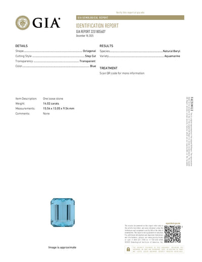 14.32ctw Aquamarine and Diamond Women's Ring Platinum