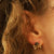 .65ctw Diamond Earrings Yellow Gold