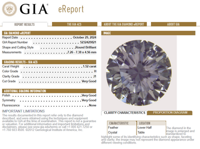 1.67ctw Diamond and Diamond Pendant Necklace White Gold