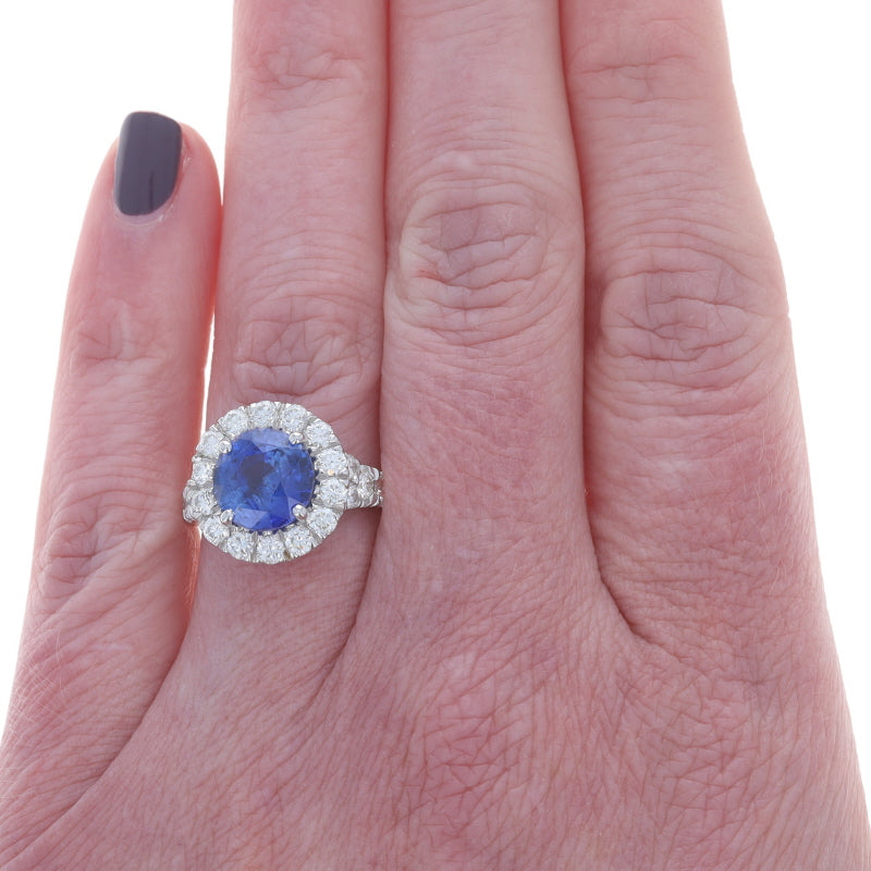 5.54ctw Sapphire and Diamond Ring White Gold
