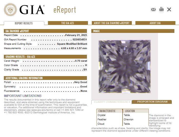 1.41ctw Set of 2 Loose Diamonds Princess Diamond GIA eReport