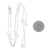 Cultured Freshwater Pearl Cable Necklace White Gold