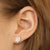 .75ctw Diamond Earrings Yellow Gold