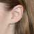 Princess Cut Diamond Earrings 2.00ctw