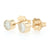 .53ctw Diamond Earrings Yellow Gold