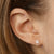 .25ctw Diamond Earrings Yellow Gold